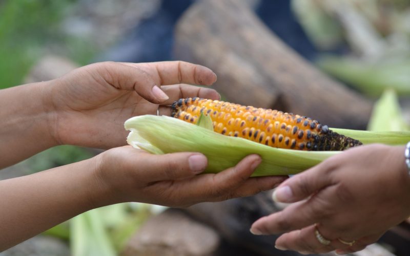 Panorama sourcé de la malnutrition mondiale