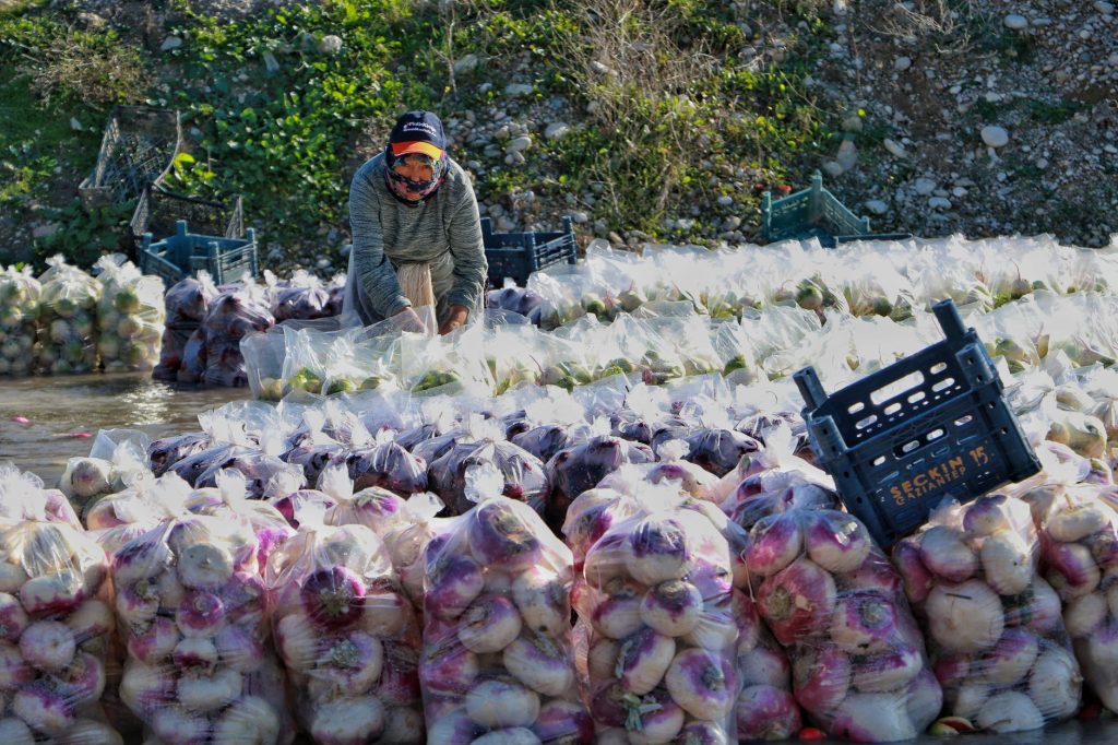 Les légumes de saison à privilégier en septembre